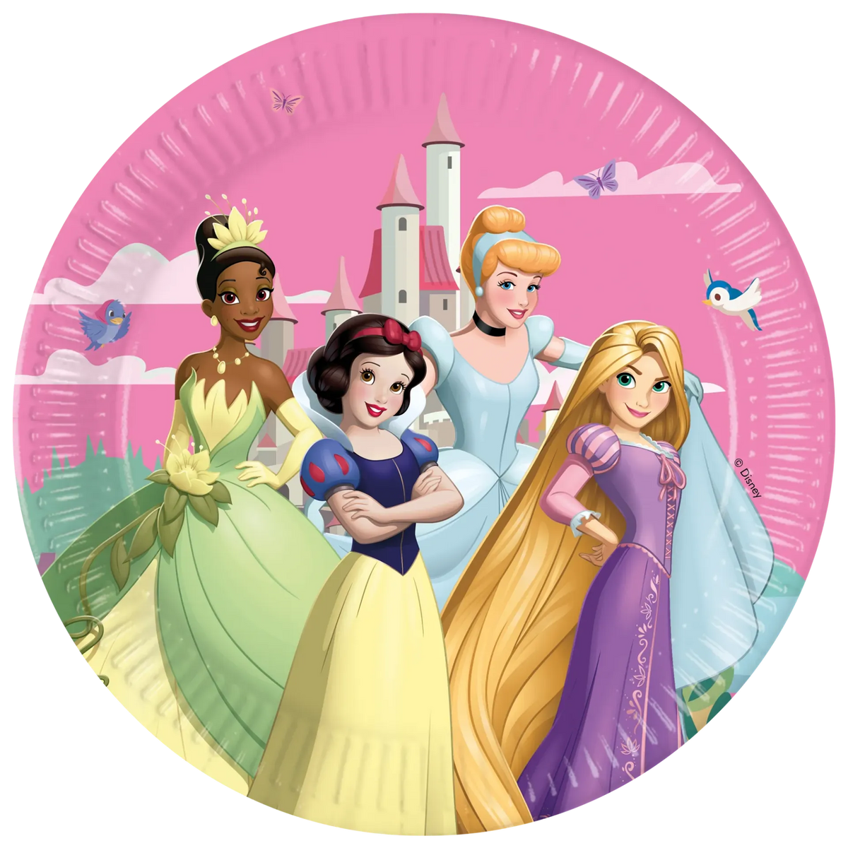 8 23 CM PLATES DISNEY PRINCESSES WORLD