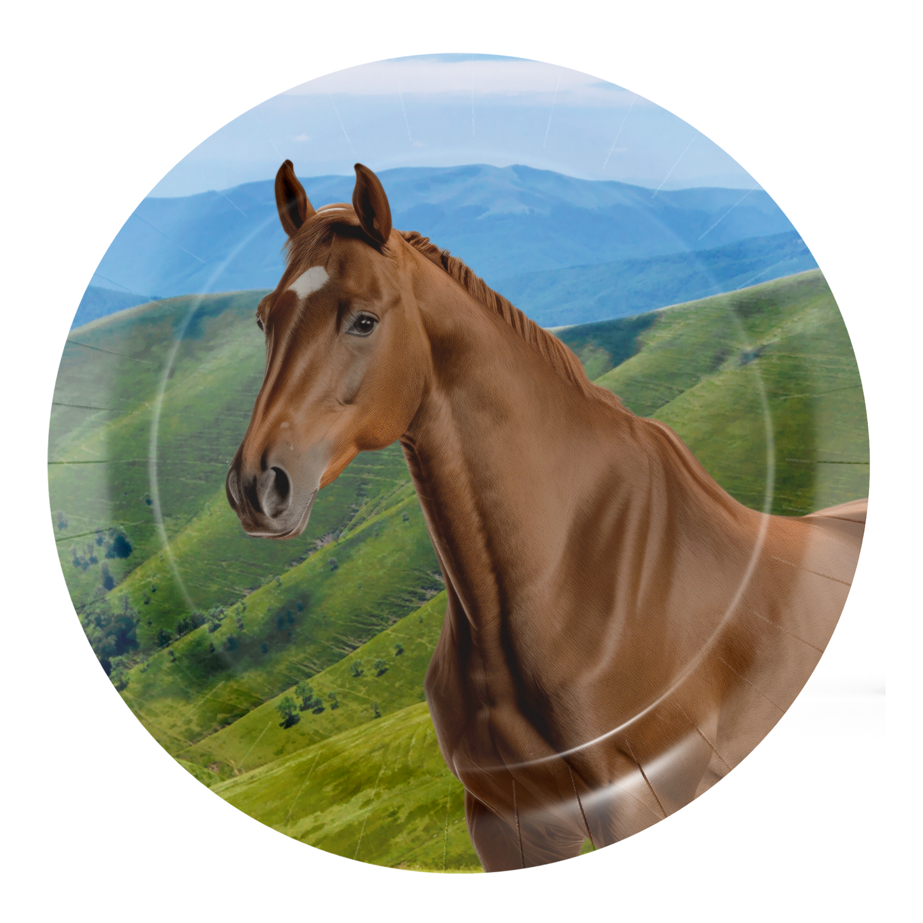 8 Platos Horse And Pony 18 cm