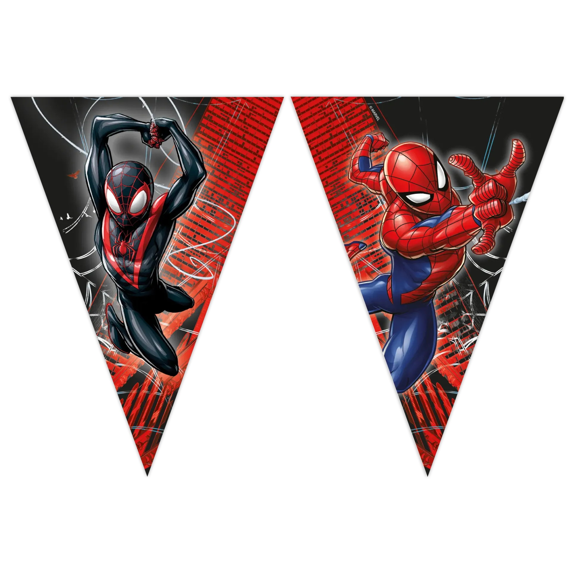 STRISCIONE SPIDERMAN WEB
