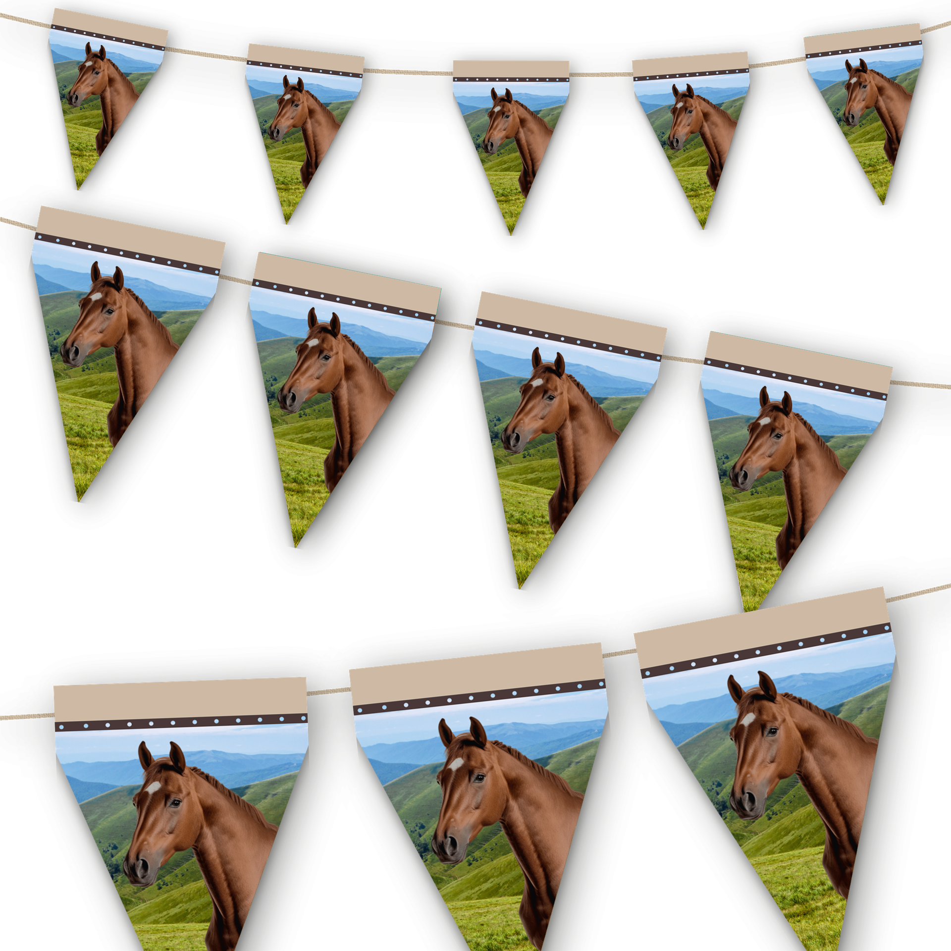 Banderin Horse And Pony 3 metros