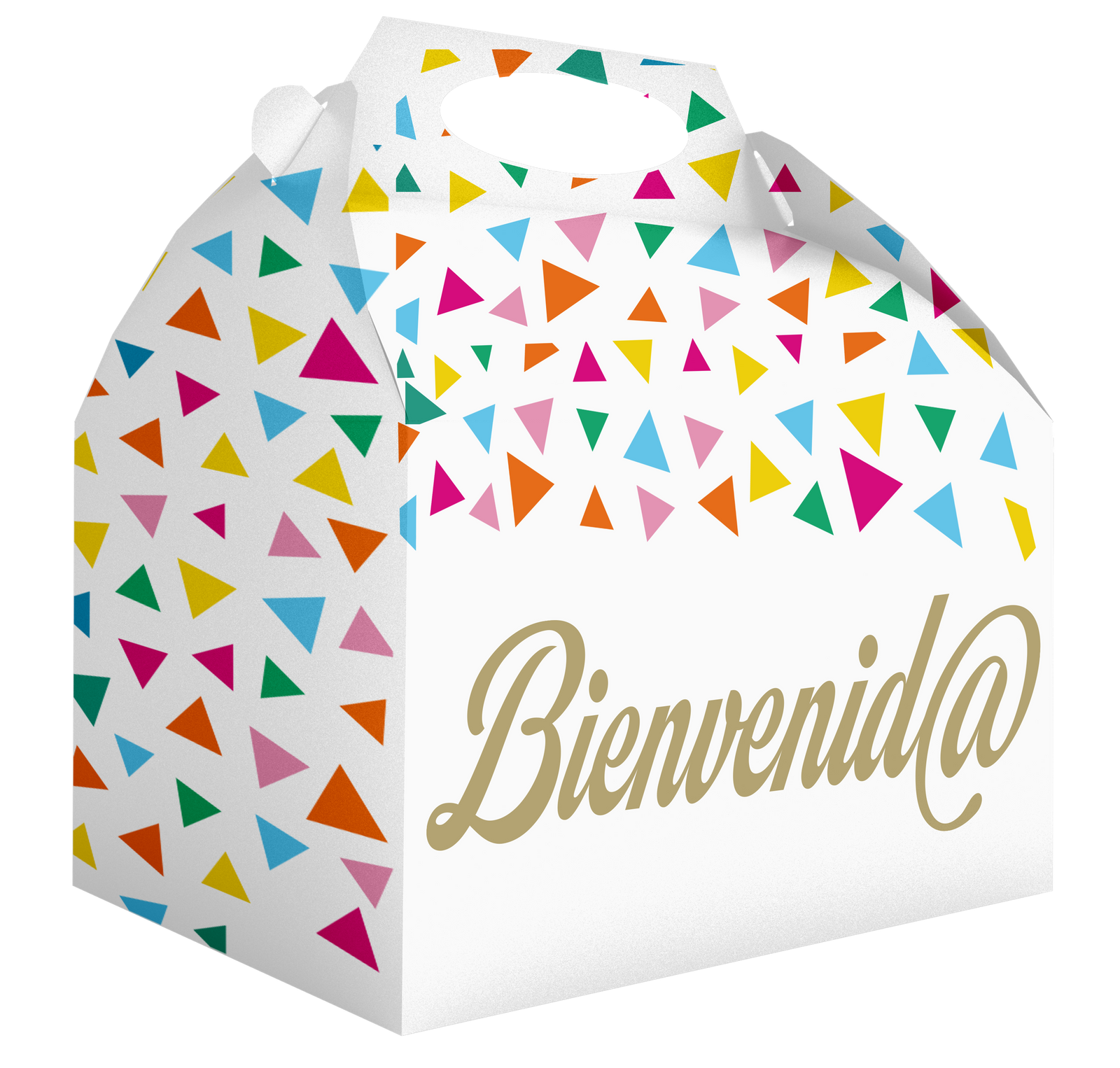 Scatola di benvenuto 20 x 16 x 11 cm