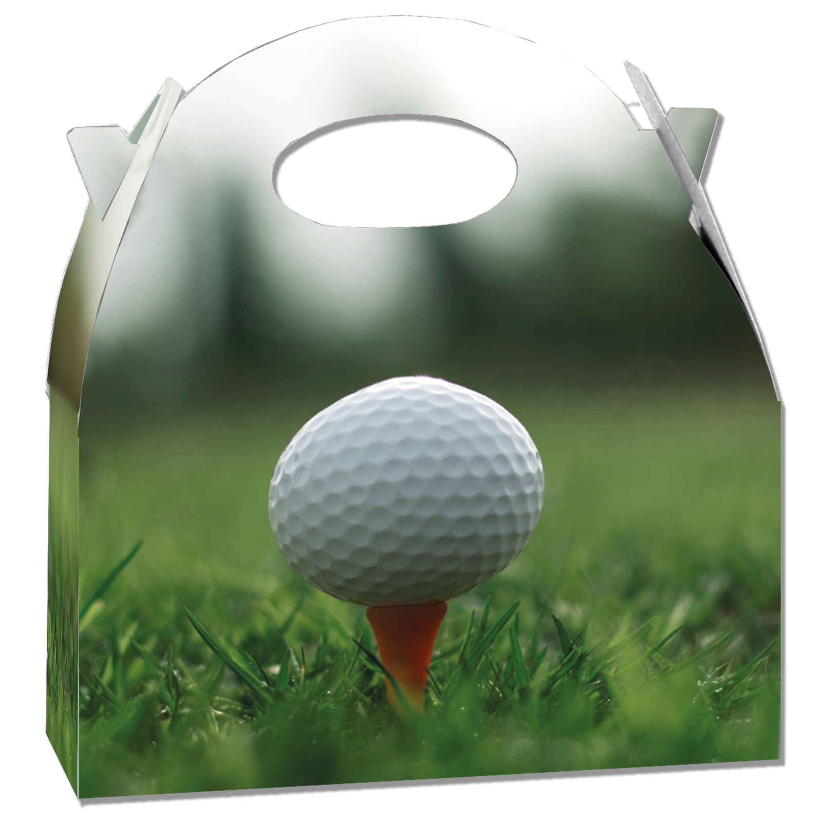 Boîte de golf 20 x 16 x 11 cm