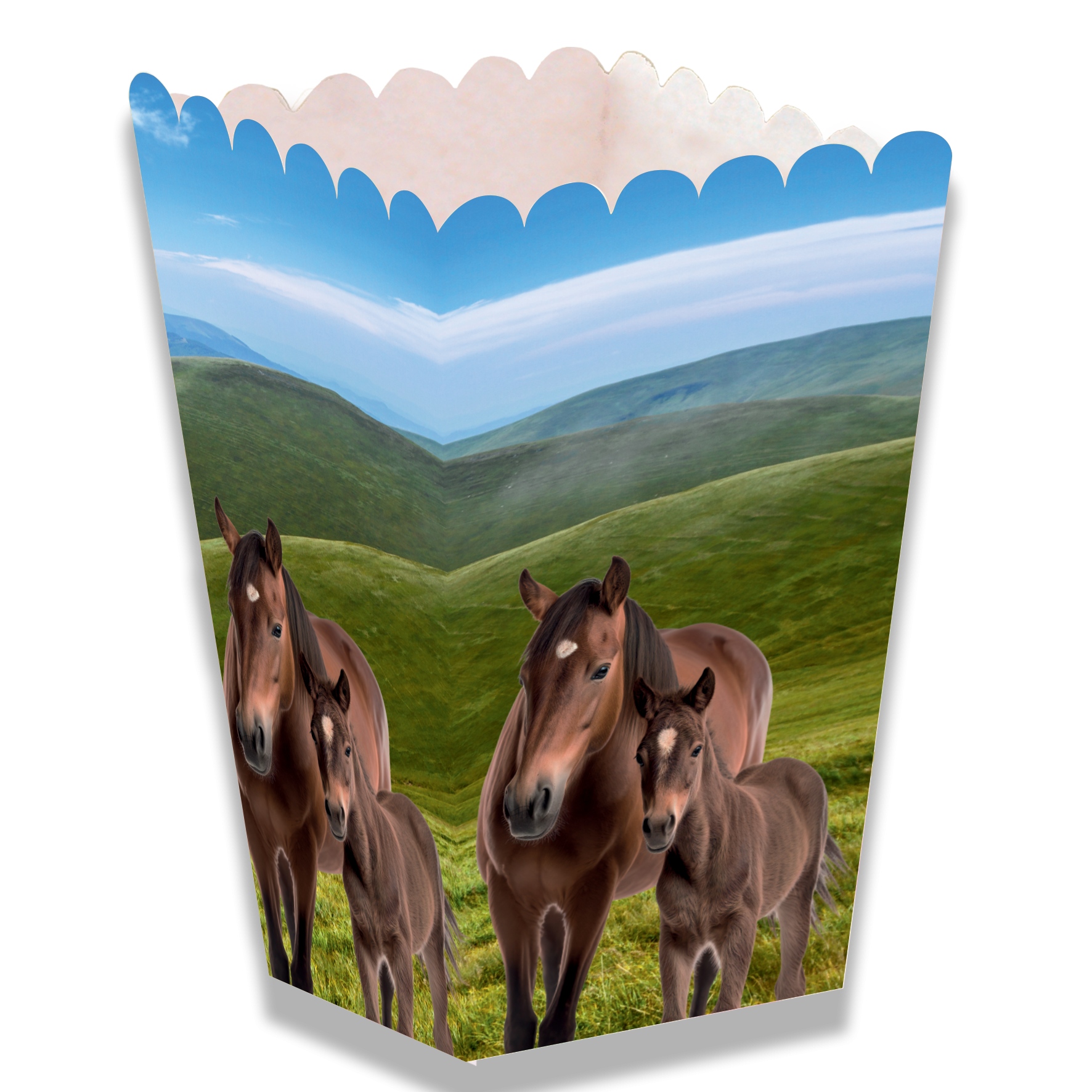 Caja Horse And Pony Alta 5 x 5 x 12 cm