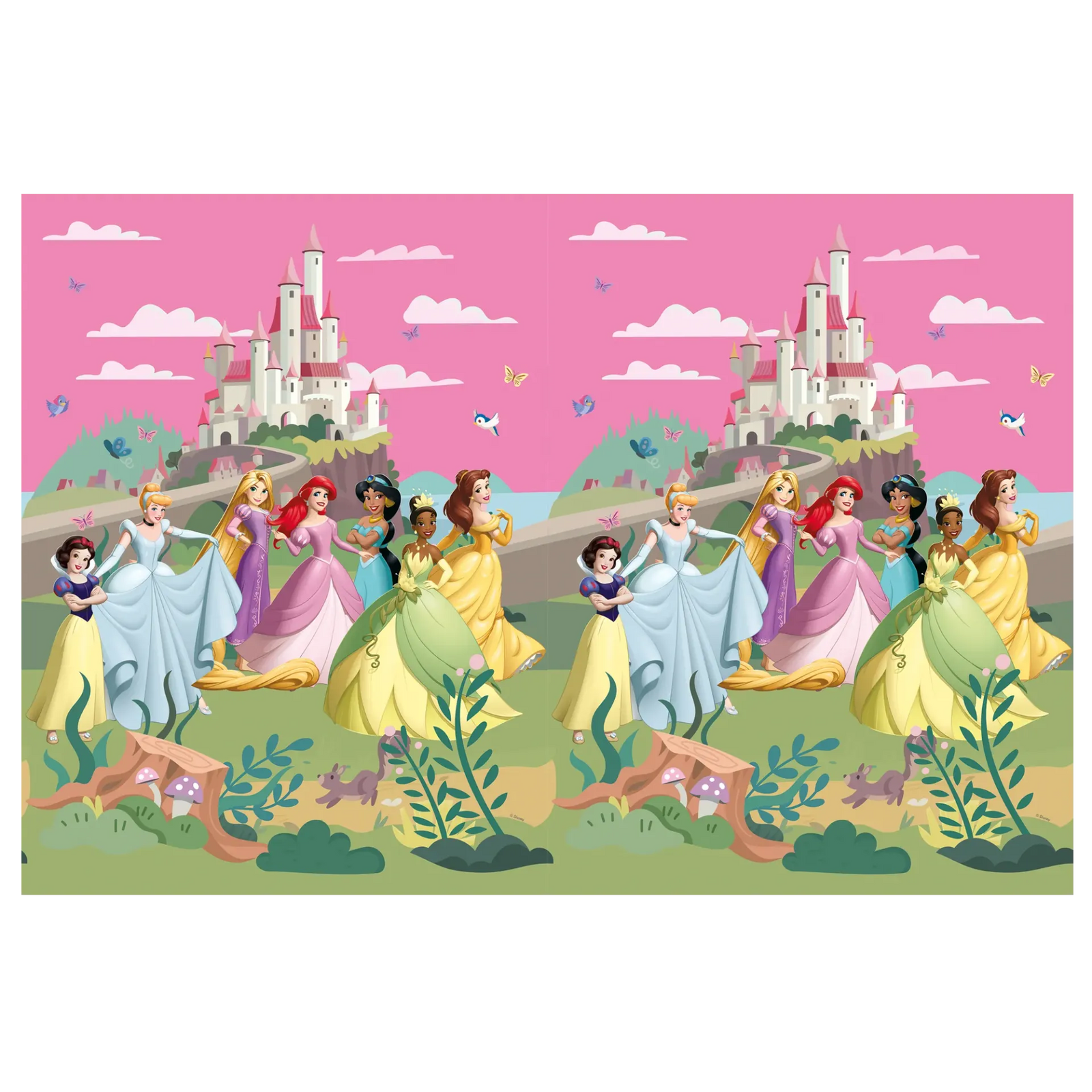 Nappe Princesses Disney World 120 x 180