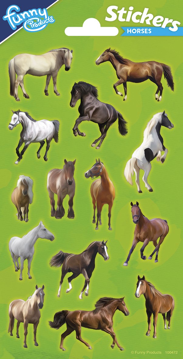 Pegatinas 102 x 200 mm Horse Party 1