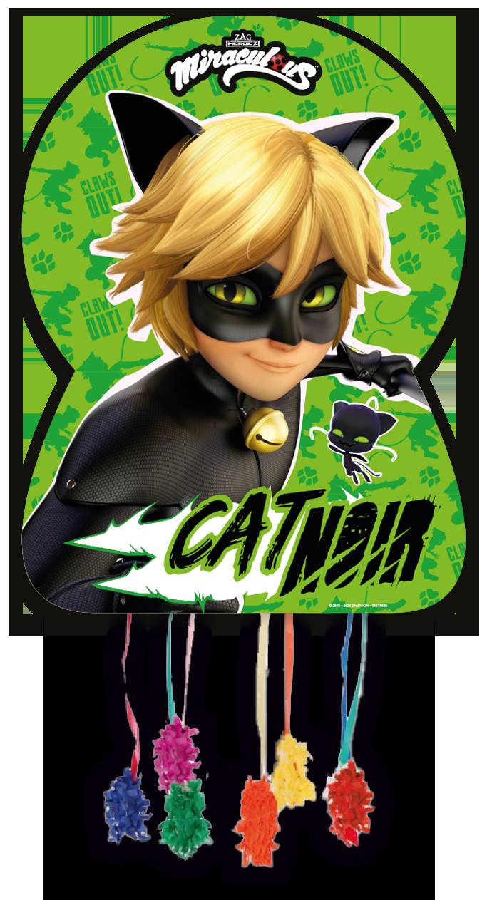 Piñata 65 x 46 cm Cat Noir