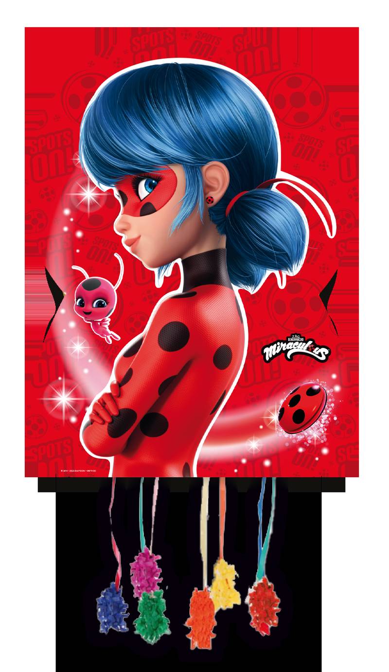 Large Ladybug Piñata 65 x 46 cm
