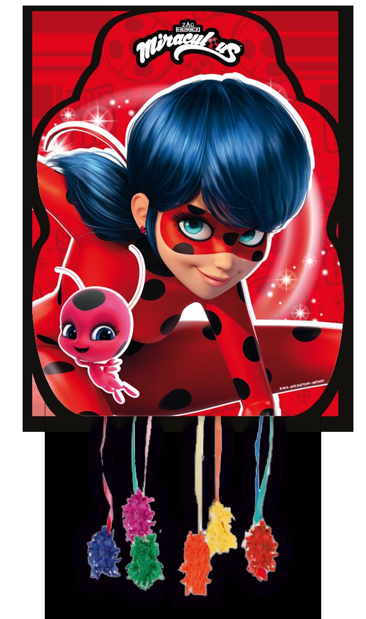 Medium Ladybug Piñata 46 x 33 cm
